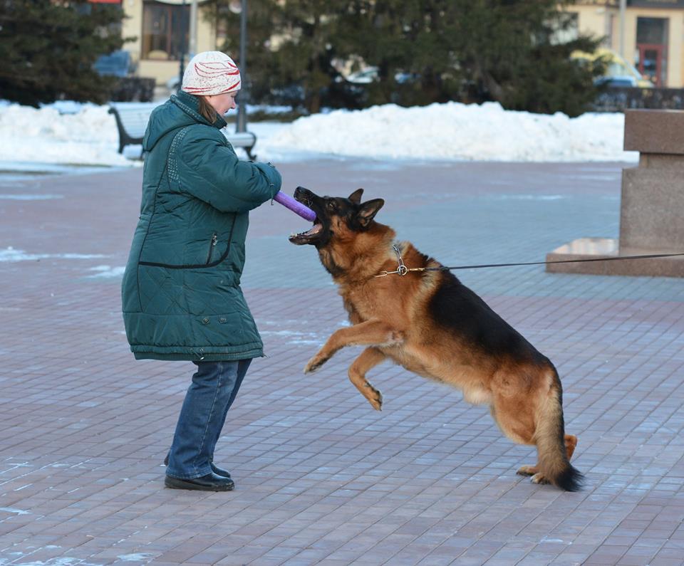 Девять с половиной лет.